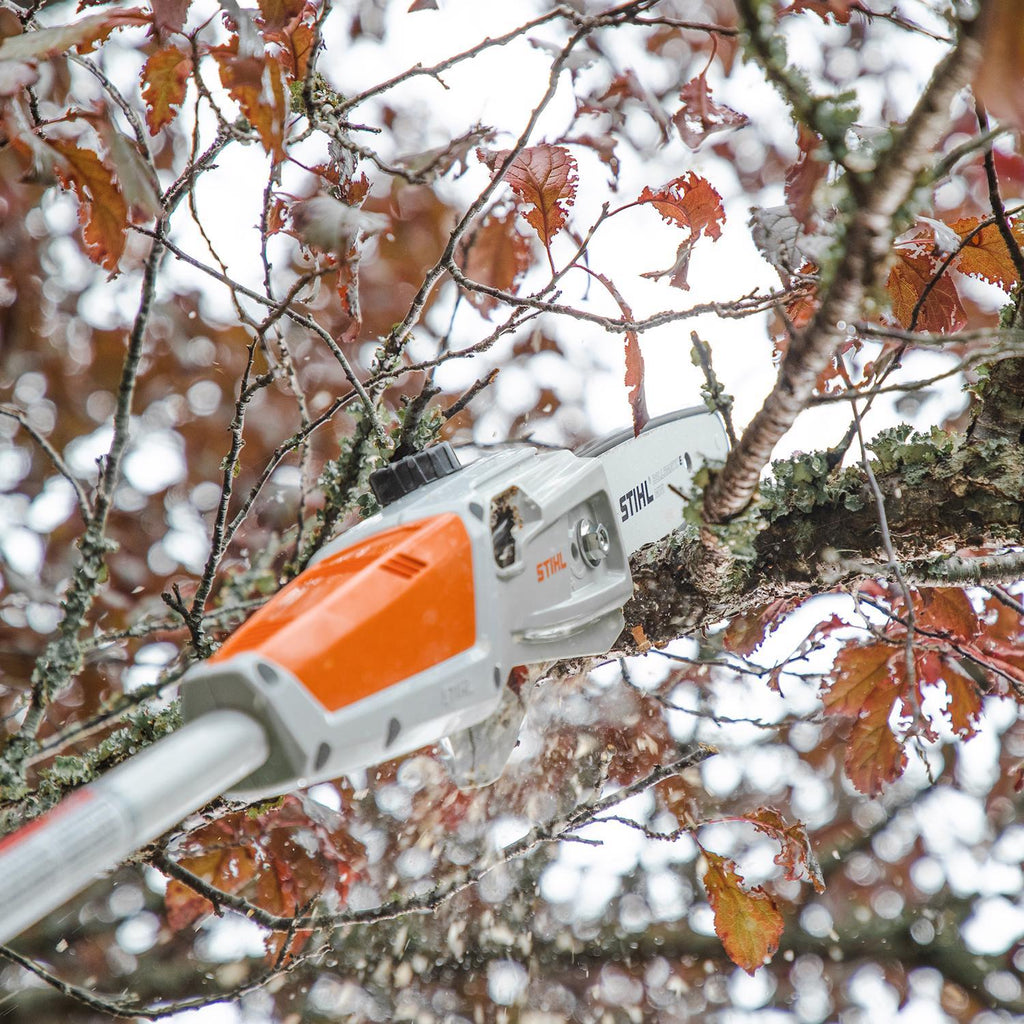  STIHL HTA 50 10 In. 36 V Battery Pole Pruner Tool Only