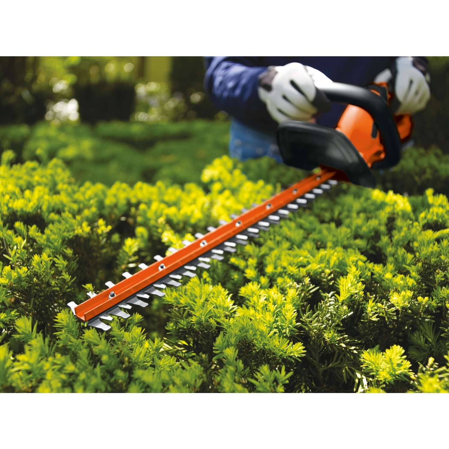 Black & Decker Black+Decker 22 In. 20 V Battery Hedge Trimmer Kit (Battery & Charger)