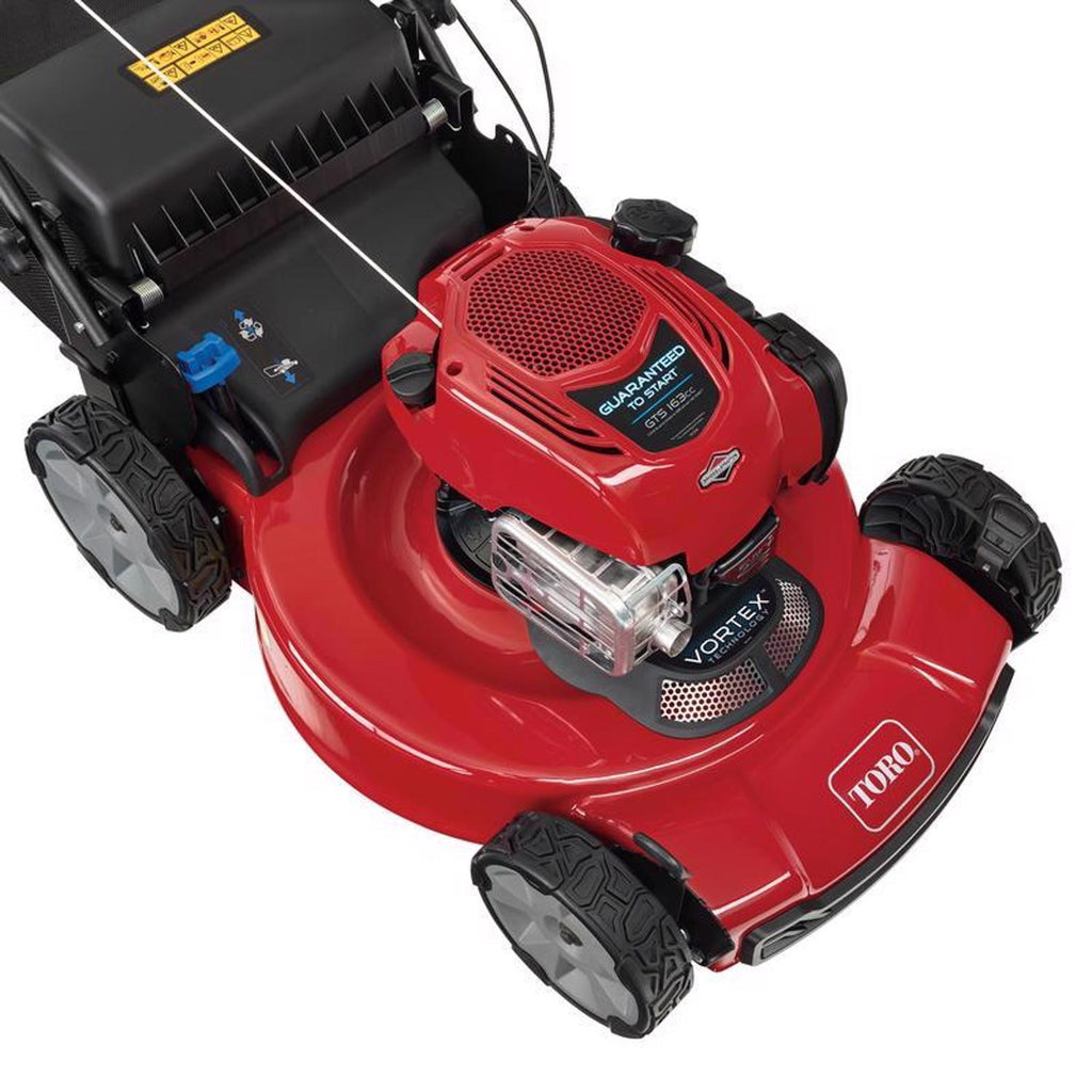  Toro Recycler 21462 22 In. 163 Cc Gas Self-Propelled Lawn Mower