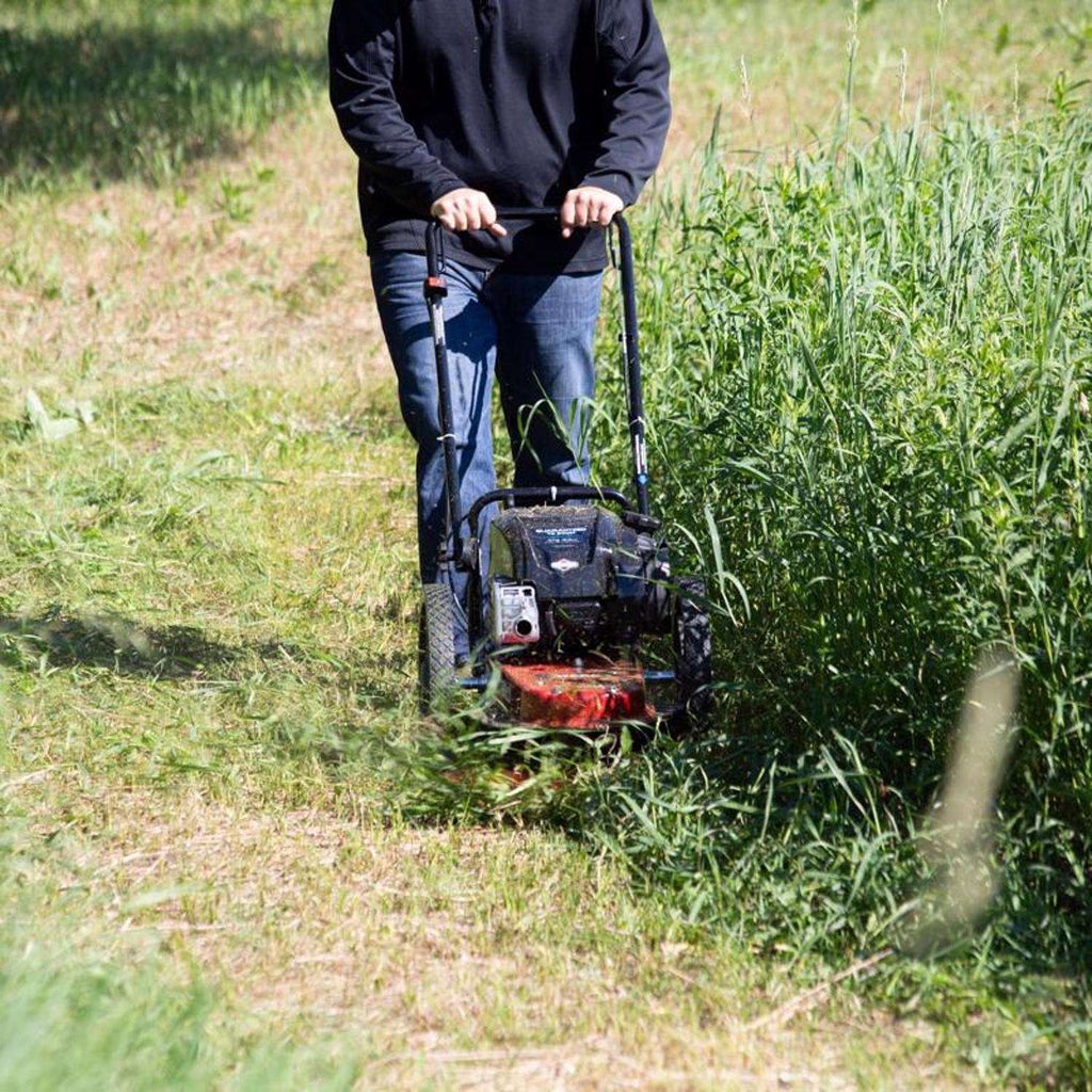  Toro 58620 22 In. 163 Cc Gas Trimmer Mower