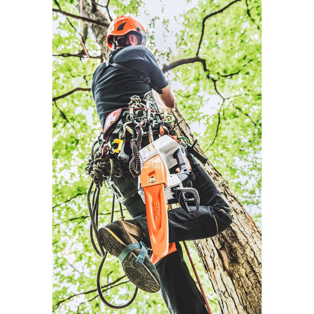  STIHL MSA 161 T 12 In. Battery Chainsaw Tool Only