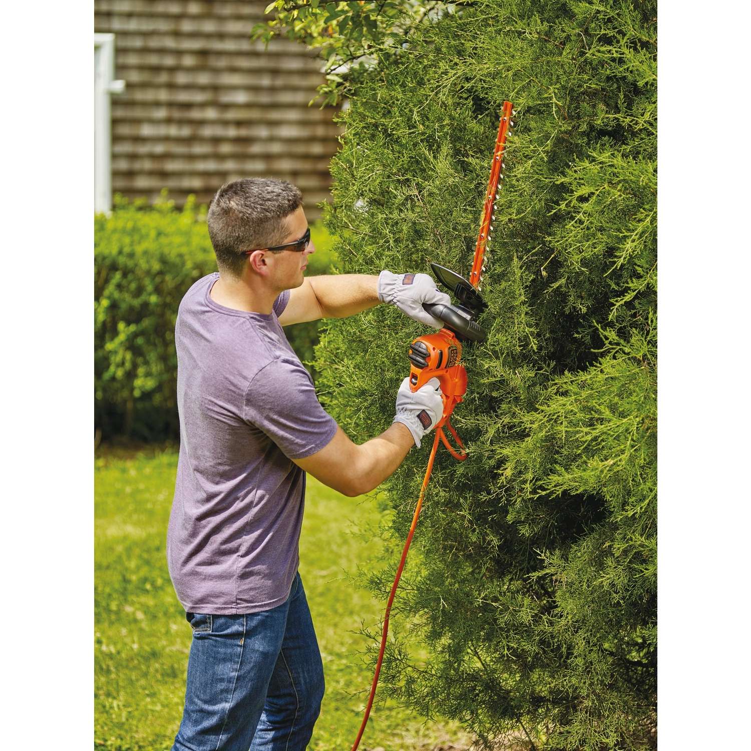Black & Decker Black+Decker 18 In. 120 V Electric Hedge Trimmer Tool Only