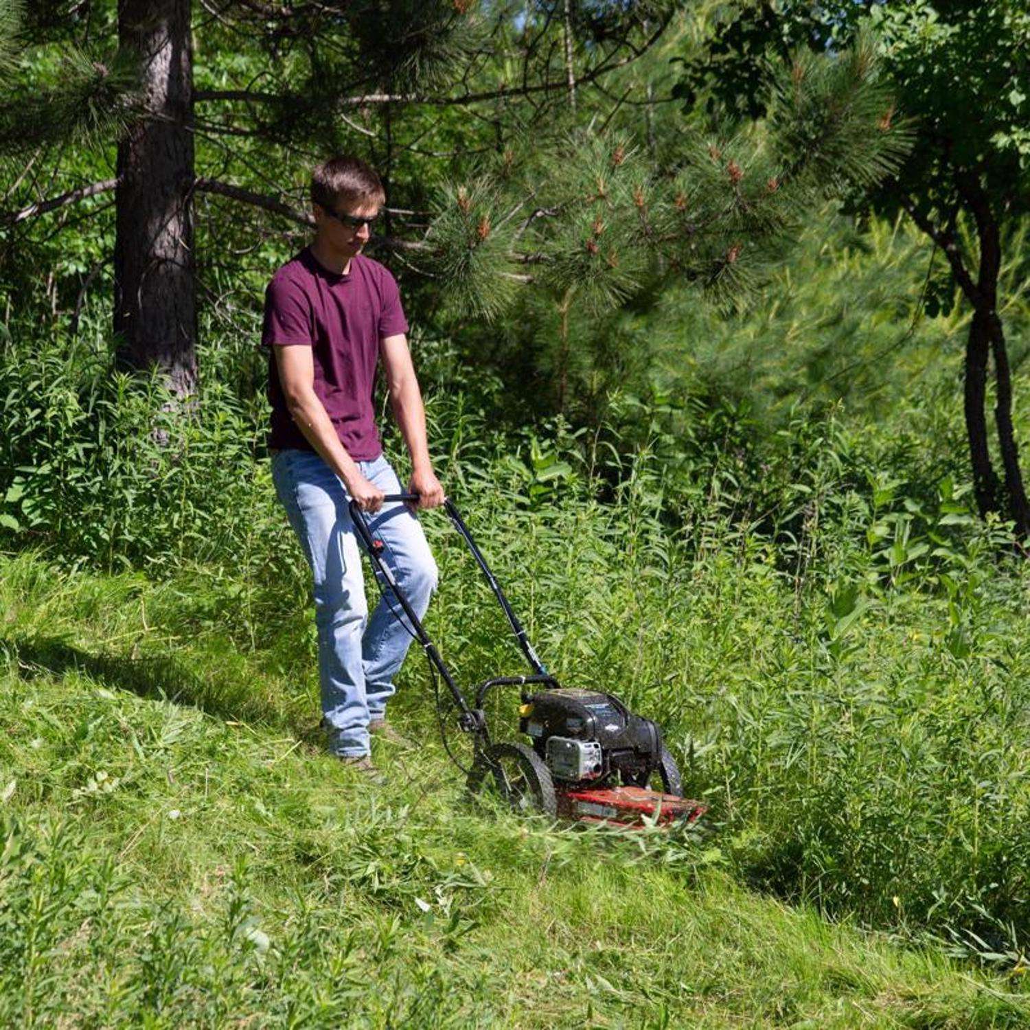  Toro 58620 22 In. 163 Cc Gas Trimmer Mower